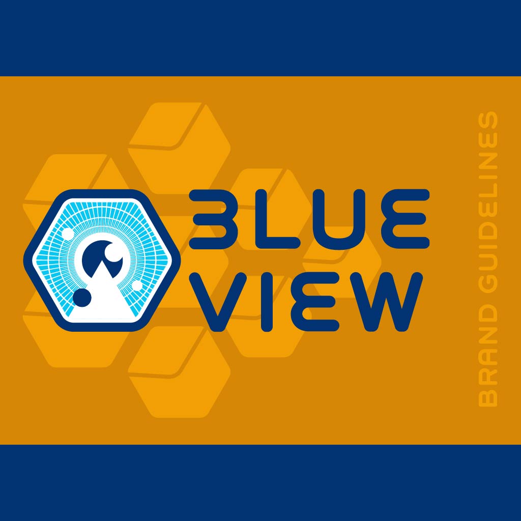 Blue View Brand Guide